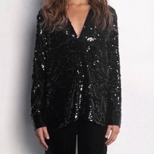 NWT! ZARA Sequin Long Sleeve Top